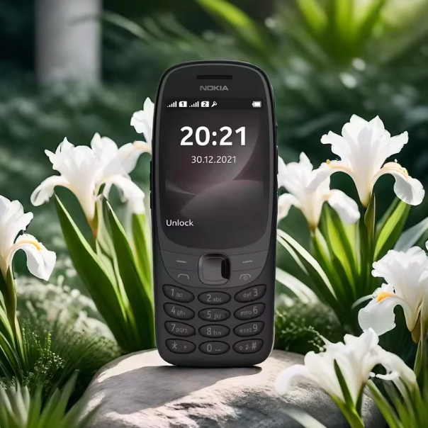 Nokia 6310 - هاتف كلاسيكي ذو شاشة كبيرة